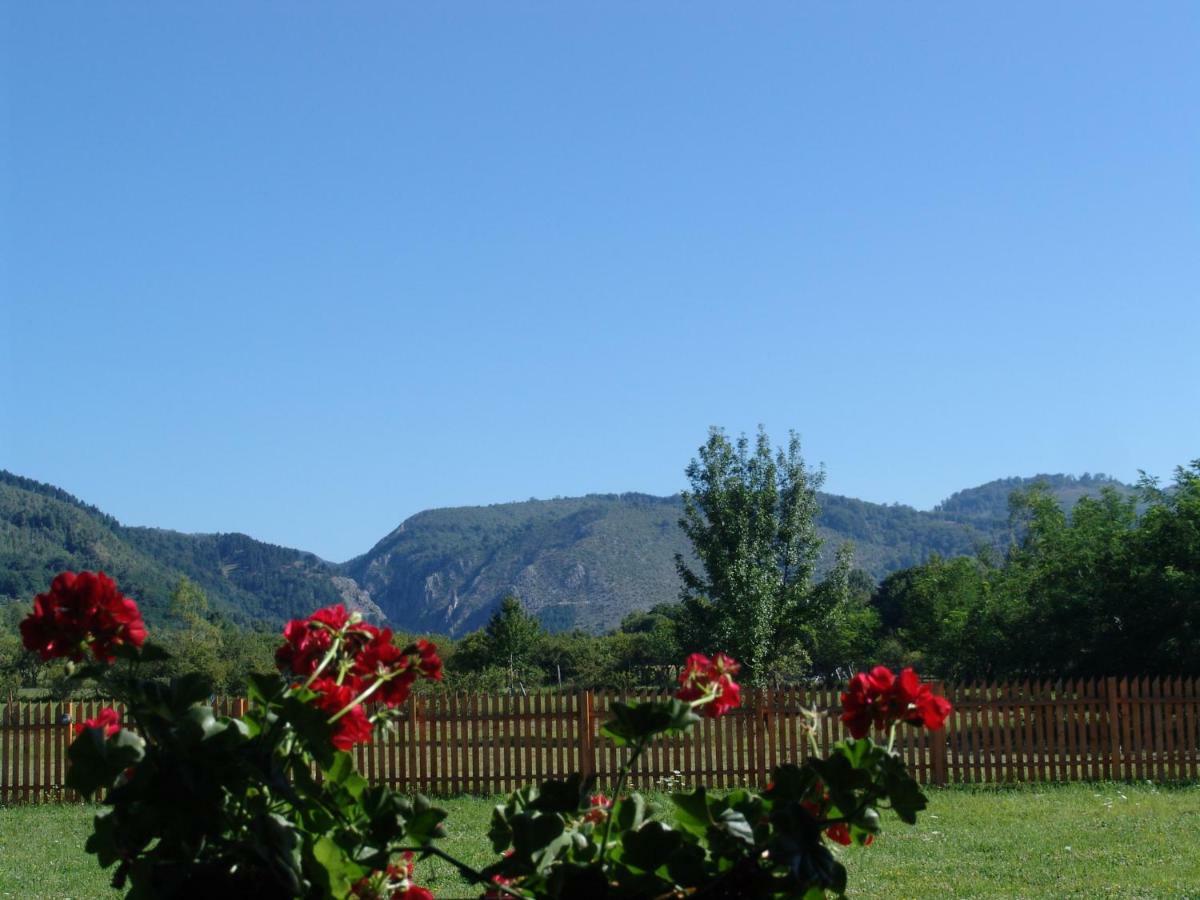 Villa Complex Agroturistic Livada De Nuci Baia de Fier Esterno foto